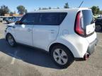 KIA SOUL + photo