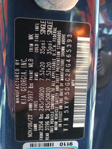 2024 KIA TELLURIDE - 5XYP5DGC2RG465393