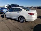 Lot #3024242801 2010 HONDA ACCORD EXL