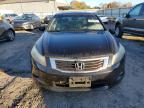 Lot #3028332789 2008 HONDA ACCORD EXL