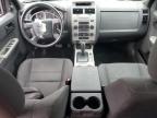 FORD ESCAPE XLT photo