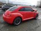 VOLKSWAGEN BEETLE photo