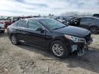 Lot #3023854818 2017 HYUNDAI SONATA SE