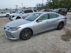 2023 LEXUS ES 350 BAS - 58AEZ1B15PU146313