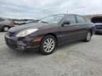 LEXUS ES 330 photo