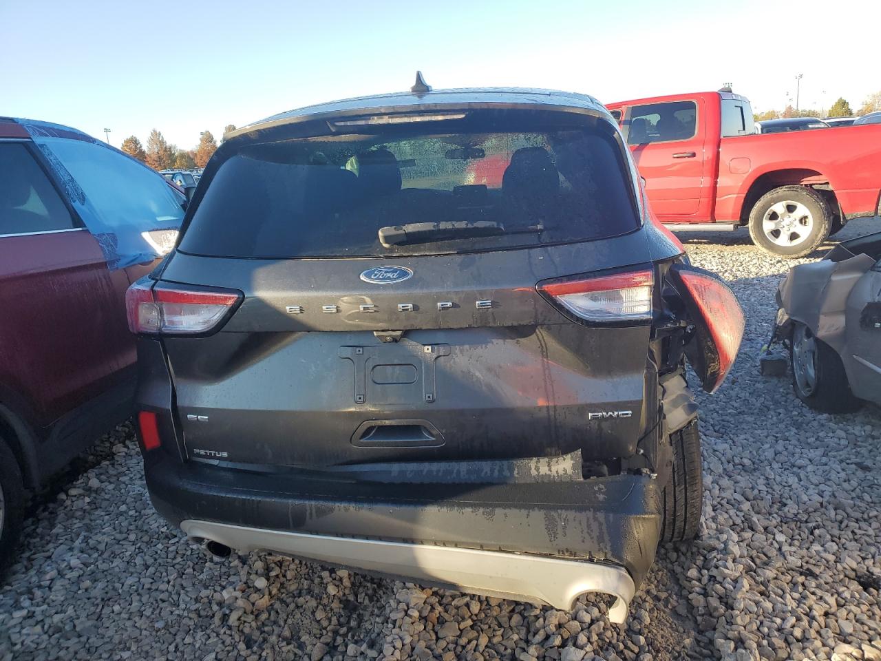 Lot #3025937956 2020 FORD ESCAPE SE