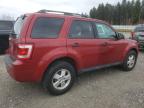 FORD ESCAPE XLT снимка