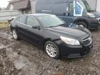 Lot #3024062769 2013 CHEVROLET MALIBU