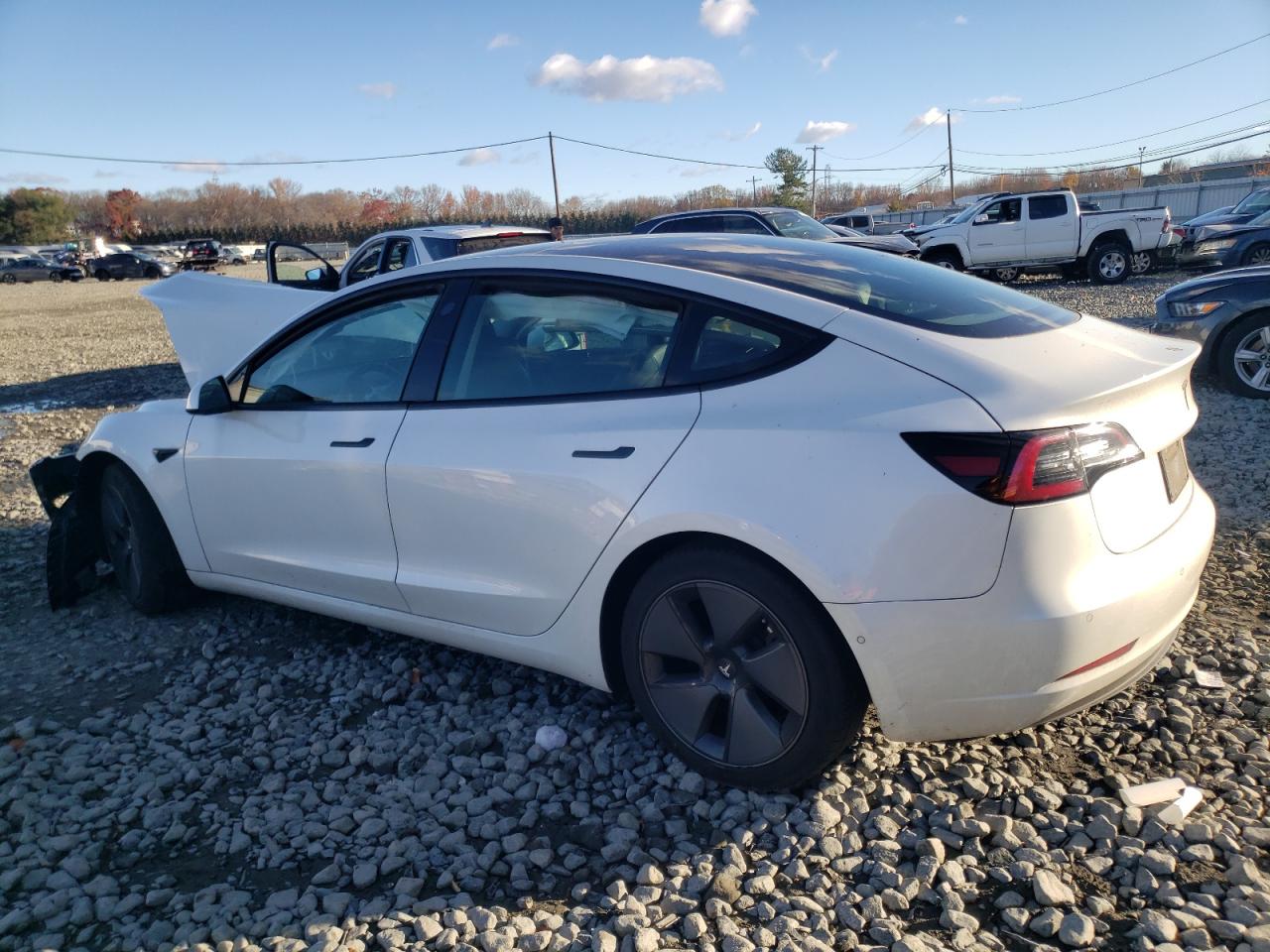 Lot #3033331819 2021 TESLA MODEL 3