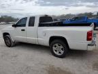 Lot #3023477376 2009 DODGE DAKOTA SXT