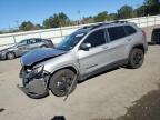 2019 JEEP CHEROKEE L - 1C4PJLLB7KD458074