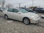 LEXUS ES 330 снимка