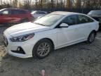 2019 HYUNDAI SONATA SE - 5NPE24AF0KH787726