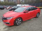 2019 HONDA CIVIC LX - 2HGFC2F61KH525898
