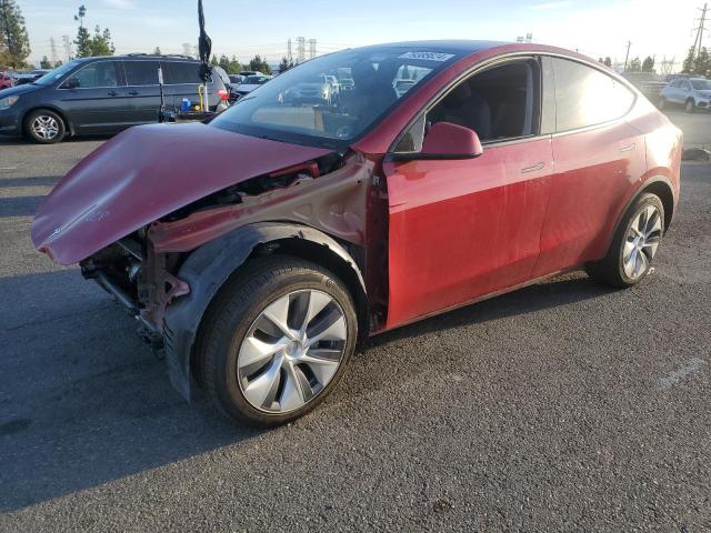 2023 TESLA MODEL Y #3029418708