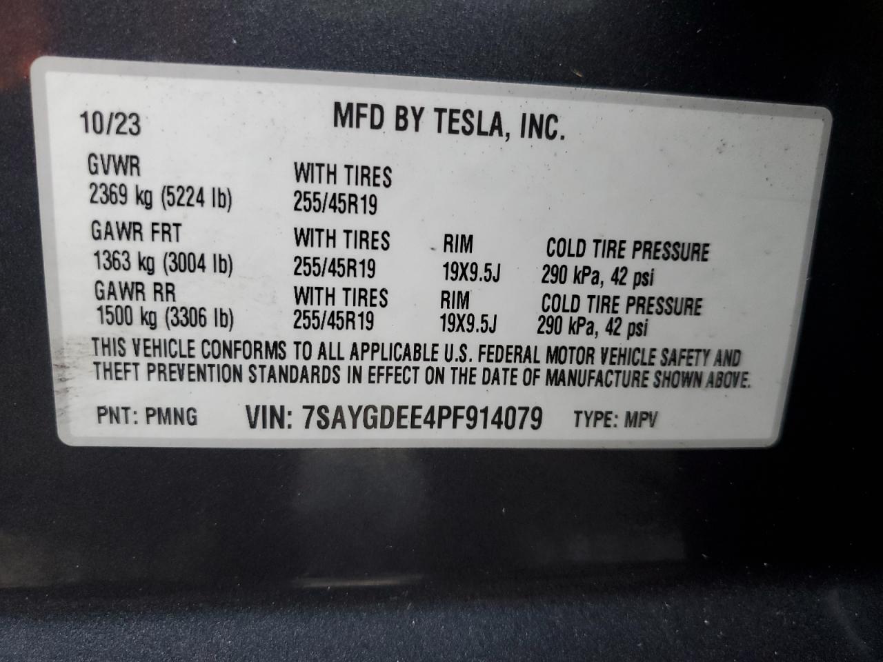 Lot #2986948996 2023 TESLA MODEL Y