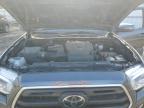 TOYOTA TACOMA DOU photo