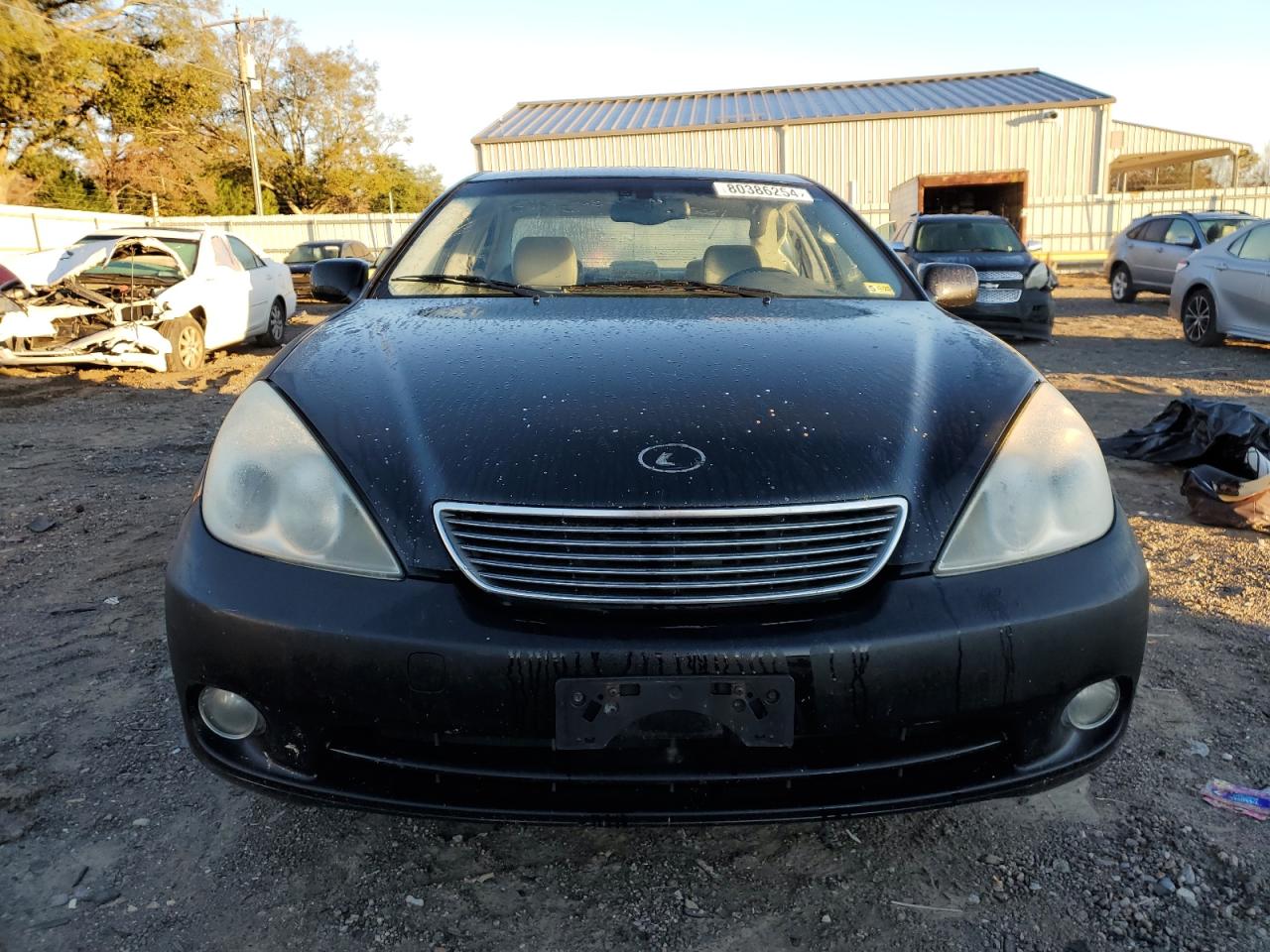 Lot #2993939333 2006 LEXUS ES 330