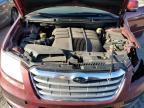 Lot #3023798880 2009 SUBARU TRIBECA LI