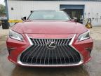 Lot #3024889404 2023 LEXUS ES 350 BAS