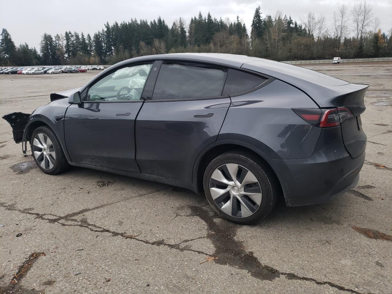 Lot #3030431490 2021 TESLA MODEL Y