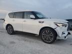 INFINITI QX80 LUXE снимка