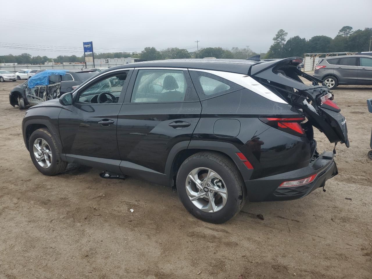 Lot #2979069930 2024 HYUNDAI TUCSON SE