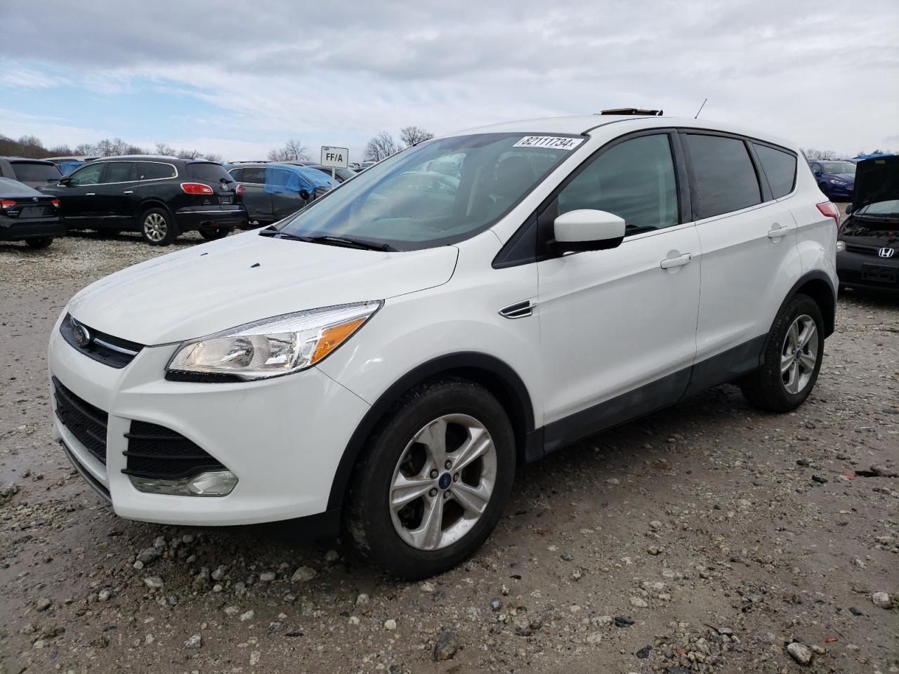 Lot #3030518472 2014 FORD ESCAPE SE