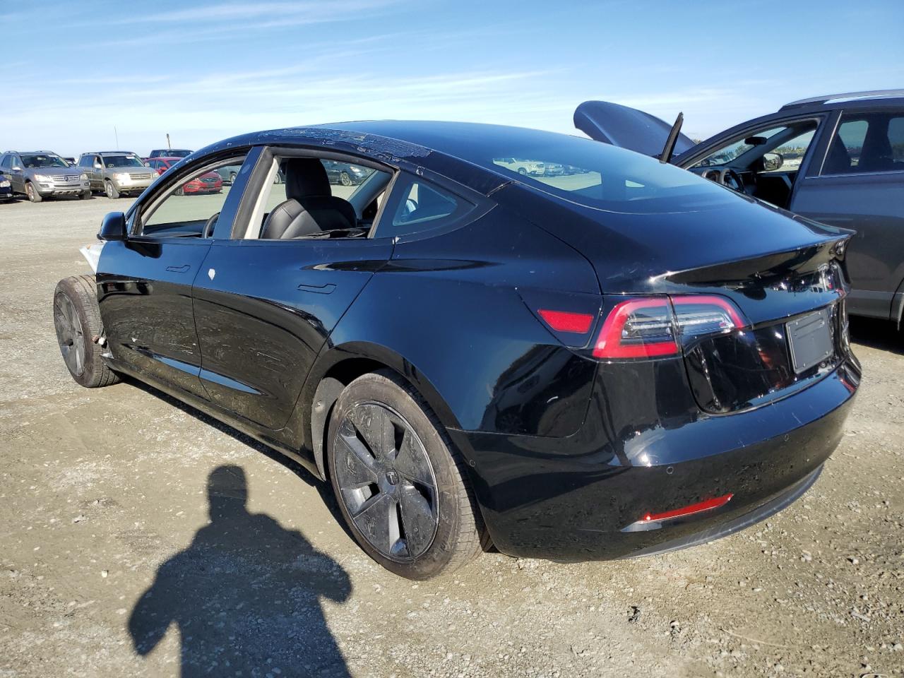 Lot #2972423411 2022 TESLA MODEL 3