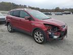 Lot #3024733275 2014 FORD ESCAPE TIT