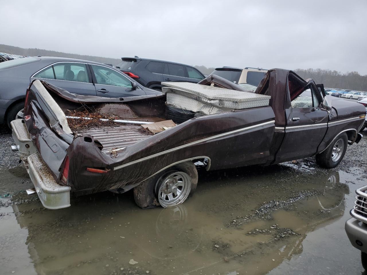 Lot #3008991548 1979 FORD F 150