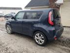 KIA SOUL + photo