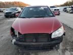 Lot #2957717020 2009 HYUNDAI ELANTRA GL