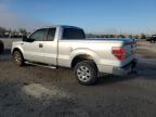 Lot #3024077623 2010 FORD F150 SUPER