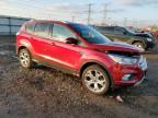 Lot #3023383289 2017 FORD ESCAPE TIT