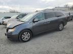 HONDA ODYSSEY EX photo