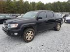 Lot #3023817924 2010 HONDA RIDGELINE