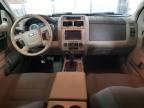 Lot #3006845521 2009 FORD ESCAPE XLT