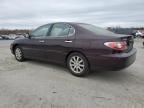 LEXUS ES 330 photo