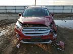 Lot #3023383289 2017 FORD ESCAPE TIT