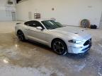 Lot #3024636666 2019 FORD MUSTANG