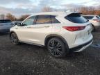 Lot #3024621612 2021 INFINITI QX50 LUXE