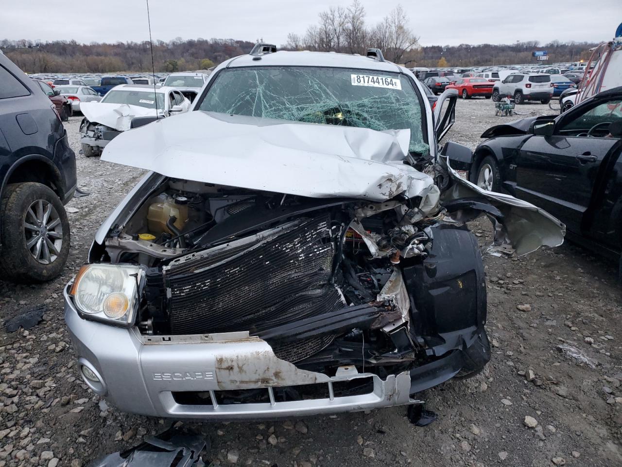 Lot #3030769094 2011 FORD ESCAPE XLT