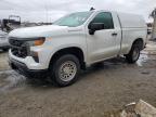 Lot #2991137270 2023 CHEVROLET SILVERADO