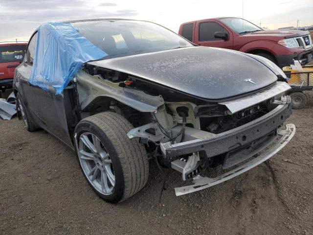2023 TESLA MODEL Y - 7SAYGDEE7PF706519