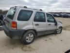 Lot #3023999212 2007 FORD ESCAPE XLS