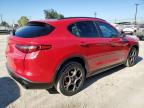 ALFA ROMEO STELVIO photo