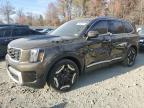 2023 KIA TELLURIDE - 5XYP6DGCXPG370395