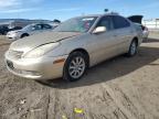 Lot #3023740932 2004 LEXUS ES 330