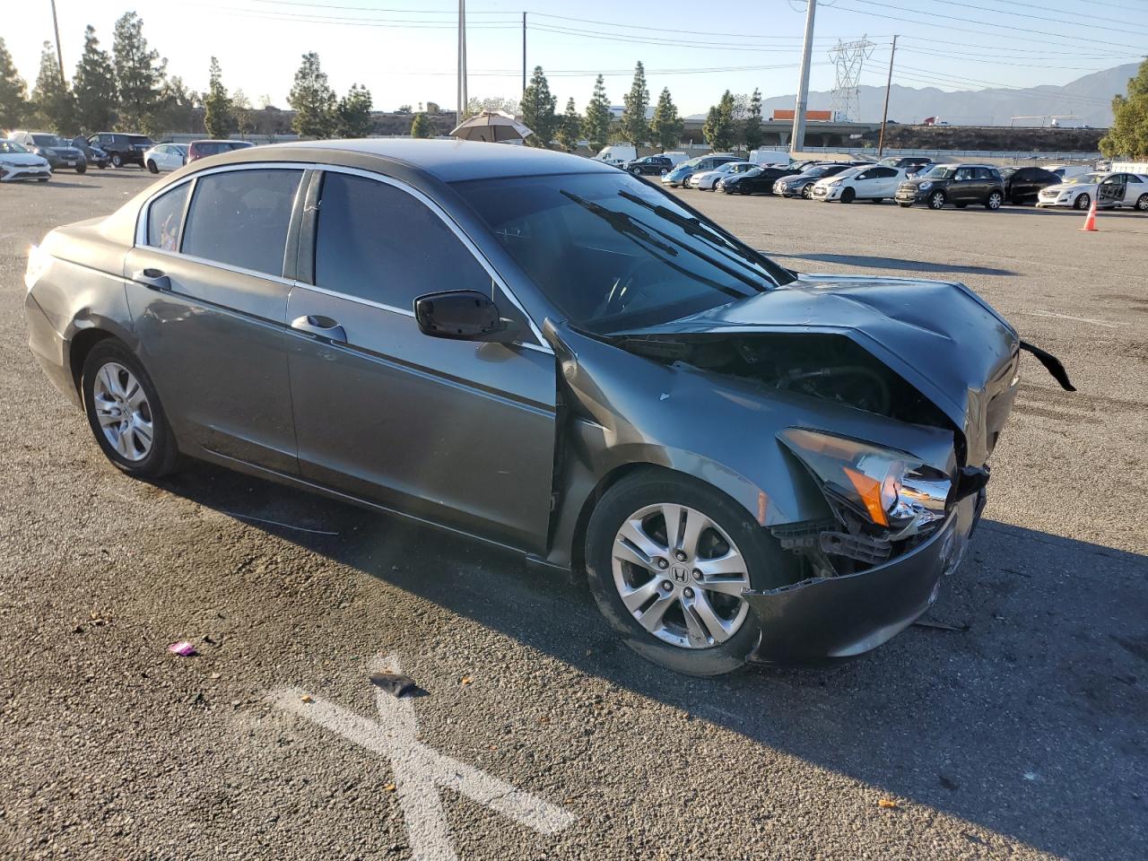 Lot #3033308811 2010 HONDA ACCORD LXP